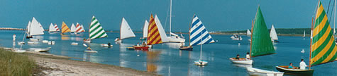 Beetle Cats sailing near shore.