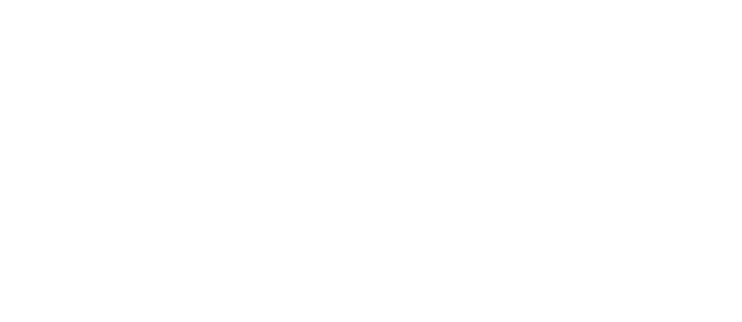 NEBCBA white Logo