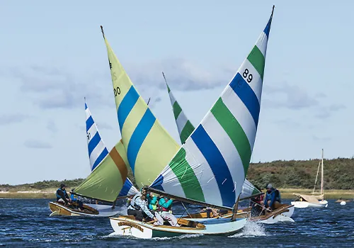 Striped Beetle Cats racing across open water